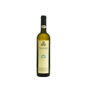 L’archetipo Fiano 12