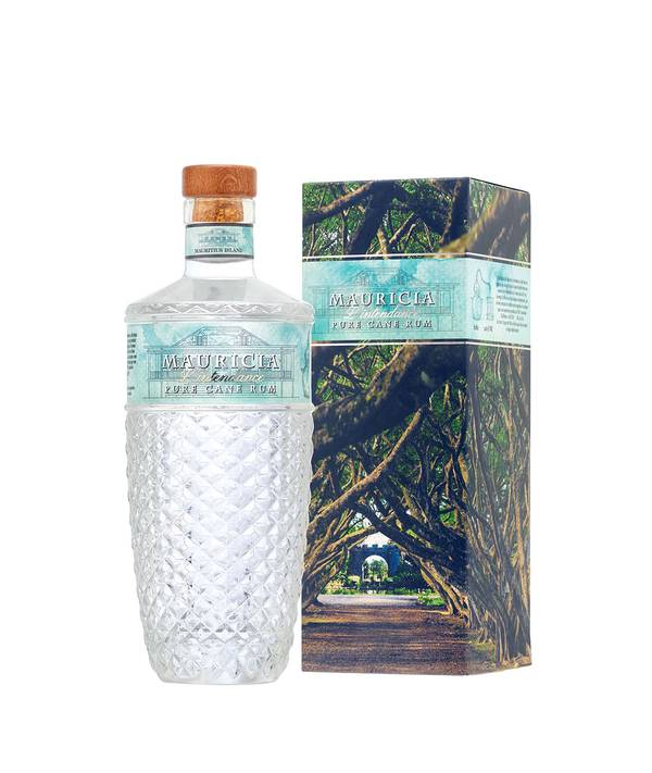 Mauricia l'Intendance 60